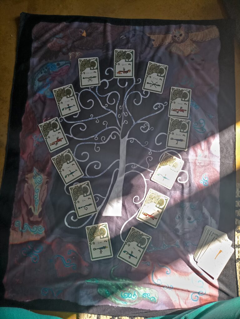 Varinhas Celtas (Vivência)