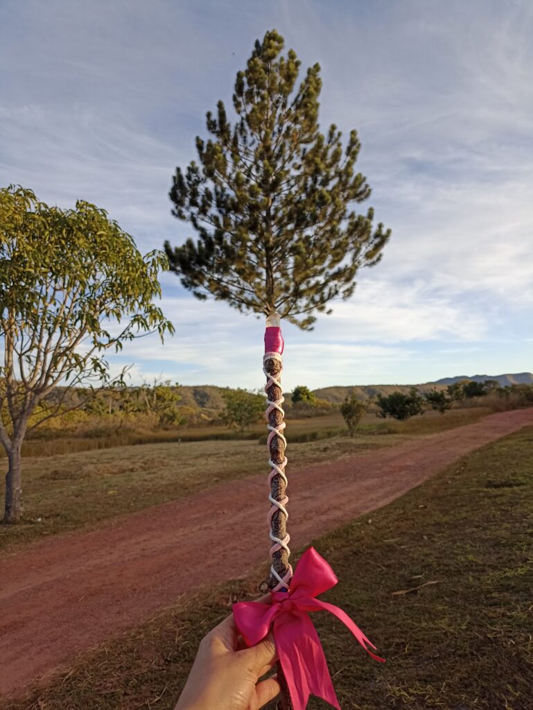 Varinhas Celtas (Vivência)