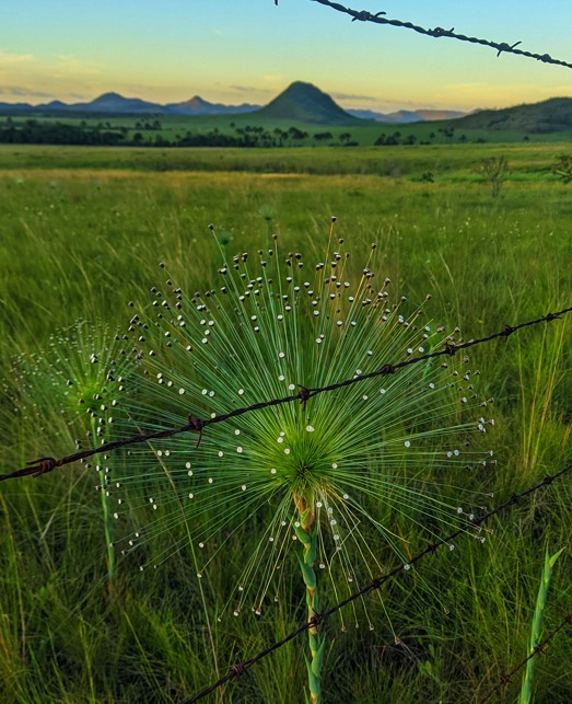 Poço Jardim de Maytrea