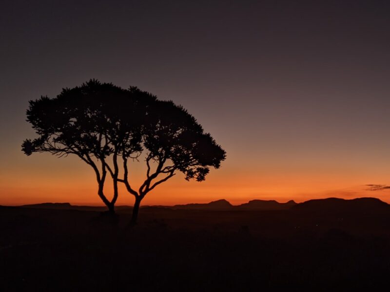 Pico do Cerrado